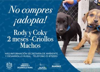 Rody y Coky - Caninos