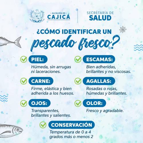 Pescado 4