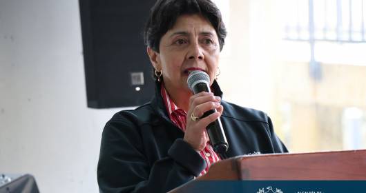 cdi tayrona 12